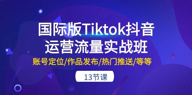 国际版Tiktok抖音运营流量实战班：账号定位/作品发布/热门推送/等等-13节-悠闲副业网