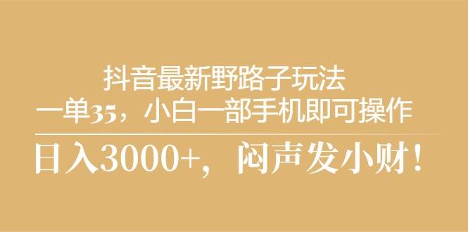 抖音最新野路子玩法，一单35，小白一部手机即可操作，，日入3000+，闷…-悠闲副业网