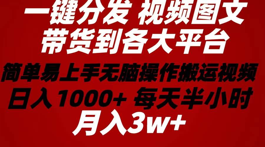 2024年 一键分发带货图文视频  简单易上手 无脑赚收益 每天半小时日入1…-悠闲副业网