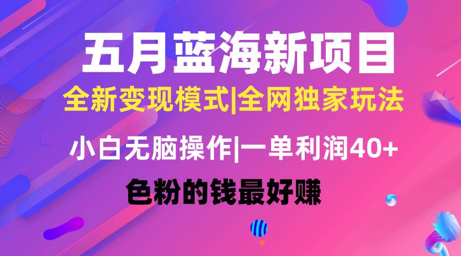 五月蓝海项目全新玩法，小白无脑操作，一天几分钟，矩阵操作，月入4万+-悠闲副业网