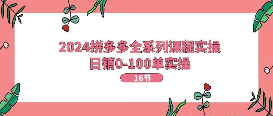 2024拼多多全系列课程实操，日销0-100单实操【16节课】-悠闲副业网