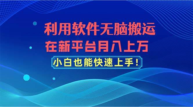 利用软件无脑搬运，在新平台月入上万，小白也能快速上手-悠闲副业网