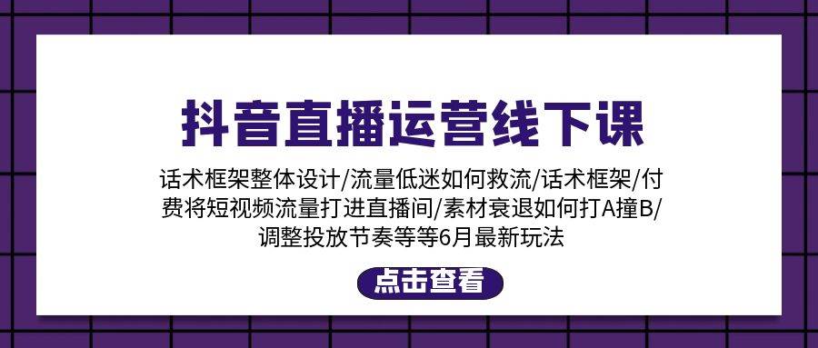抖音直播运营线下课：话术框架/付费流量直播间/素材A撞B/等6月新玩法-悠闲副业网