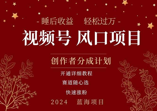 拥有睡眠收益的微信视频号大风口项目，轻松月入过万+，多赛道选择，可…-悠闲副业网
