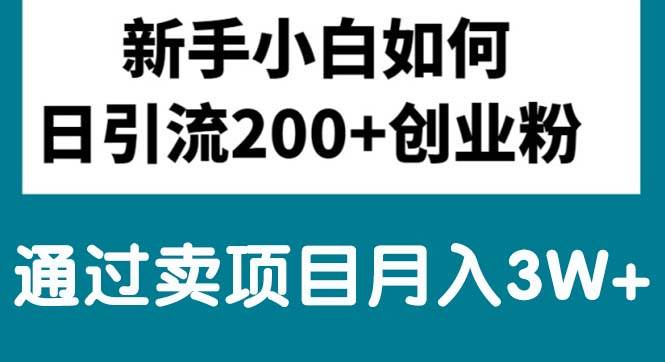 新手小白日引流200+创业粉,通过卖项目月入3W+-悠闲副业网