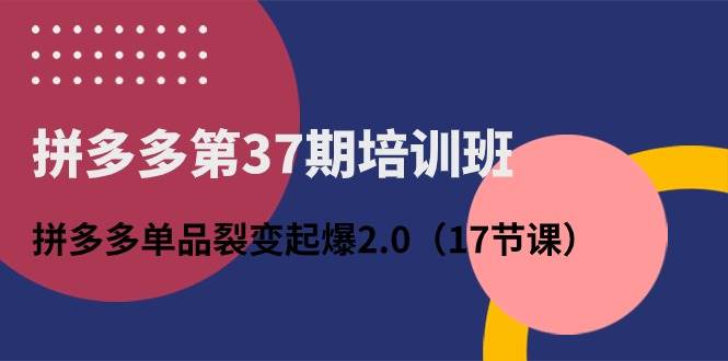 拼多多第37期培训班：拼多多单品裂变起爆2.0（17节课）-悠闲副业网
