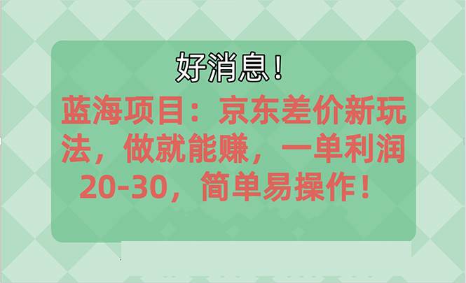 越早知道越能赚到钱的蓝海项目：京东大平台操作，一单利润20-30，简单…-悠闲副业网