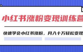2024小红书涨粉变现训练营，快速学会小红书涨粉，月入十万轻松变现(40节)-悠闲副业网