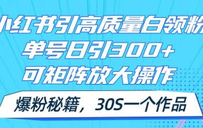 小红书引高质量白领粉,单号日引300+,可放大操作,爆粉秘籍!30s一个作品-悠闲副业网
