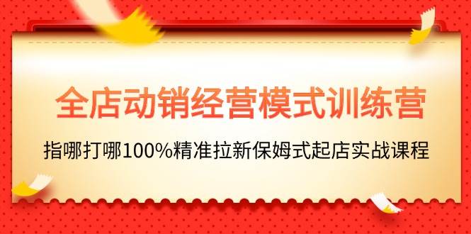 全店动销-经营模式训练营，指哪打哪100%精准拉新保姆式起店实战课程-悠闲副业网