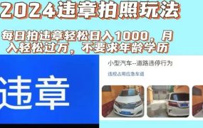 2024违章拍照新玩法,推广躺赚+拍照赚钱双模式,日入1000+-悠闲副业网