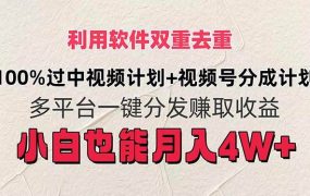 利用软件双重去重,100%过中视频+视频号分成计划小白也可以月入4W+-悠闲副业网