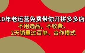 拼多多 最新合作开店日收4000+两天销量过百单,无学费、老运营代操作、...-悠闲副业网