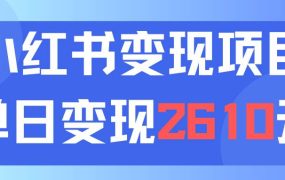 利用小红书卖资料单日引流150人当日变现2610元小白可实操(教程+资料)-悠闲副业网