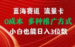 蓝海赛道 流量卡 0成本 小白也能日入三位数-悠闲副业网