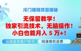 冷门赚钱项目无保留教学！独家引流技术，无脑操作！小白也能月入5万+！-悠闲副业网