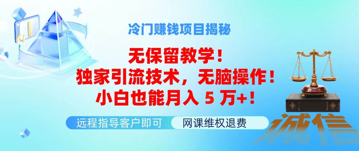 冷门赚钱项目无保留教学！独家引流技术，无脑操作！小白也能月入5万+！-悠闲副业网