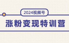 2024视频号-涨粉变现特训营:一站式打造稳定视频号涨粉变现模式(10节)-悠闲副业网