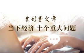 某付费文章《当下经济 十个重大问题》覆盖了大家关心的全部经济类话题-悠闲副业网