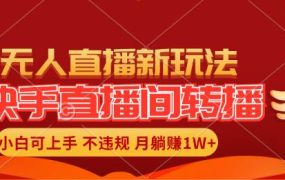 快手直播间转播玩法简单躺赚，真正的全无人直播，小白轻松上手月入1W+-悠闲副业网