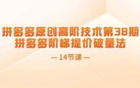 拼多多原创高阶技术第38期,拼多多阶梯提价破量法(14节课)-悠闲副业网