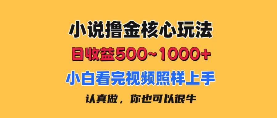 小说撸金核心玩法，日收益500-1000+，小白看完照样上手，0成本有手就行-悠闲副业网