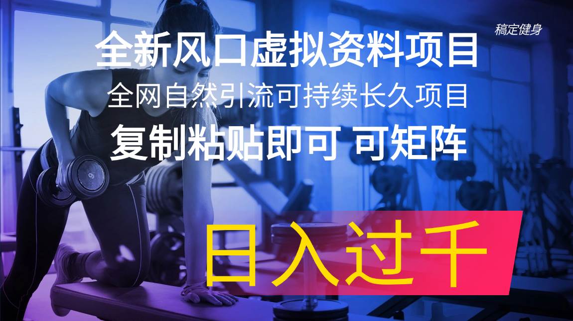 全新风口虚拟资料项目 全网自然引流可持续长久项目 复制粘贴即可可矩阵…-悠闲副业网