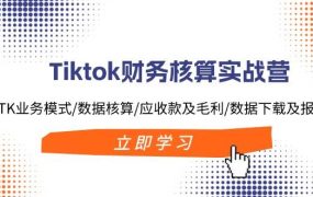 Tiktok财务核算实战营:TK业务模式/数据核算/应收款及毛利/数据下载及报表-悠闲副业网