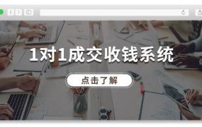 1对1成交 收钱系统,十年专注于引流和成交,全网130万+粉丝-悠闲副业网