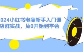 2024小红书电商新手入门课，店群实战，从0开始到学会（31节）-悠闲副业网