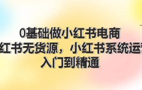0基础做小红书电商，小红书无货源，小红书系统运营，入门到精通 (70节)-悠闲副业网