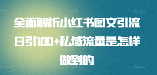 日引流100私域流量小红书图文是怎样做到的全面解析-悠闲副业网