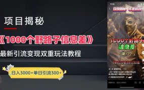 抖音一千个野路子信息差最新玩法教程-变现＋引流的玩法具体拆解-悠闲副业网