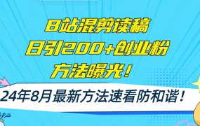 B站混剪读稿日引200+创业粉方法4.0曝光,24年8月最新方法Ai一键操作 速...-悠闲副业网