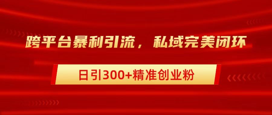 跨平台暴力引流，私域完美闭环，日引300+精准创业粉-悠闲副业网