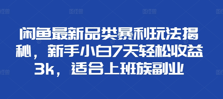 闲鱼最新品类暴利玩法揭秘，新手小白7天轻松赚3000+，适合上班族副业-悠闲副业网