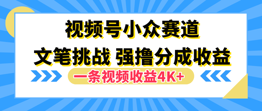 视频号小众赛道，文笔挑战，一条视频收益4K+-悠闲副业网