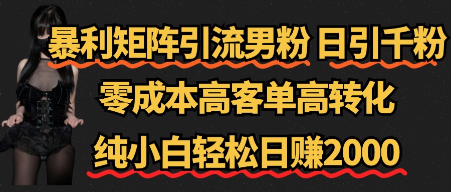 暴利矩阵引流男粉（日引千粉），零成本高客单高转化，纯小白轻松日赚2000+-悠闲副业网