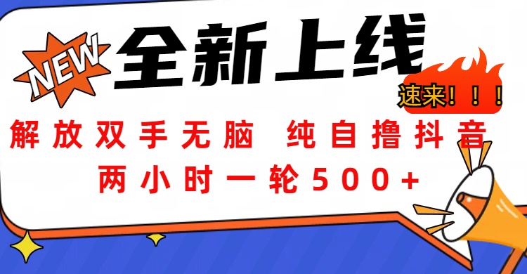 解放双手无脑 纯自撸抖音 两小时一轮500+-悠闲副业网