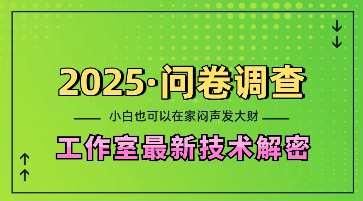 2025《问卷调查》最新工作室技术解密：一个人在家也可以闷声发大财，小白一天200+，可矩阵放大-悠闲副业网