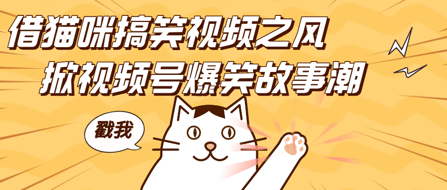 借猫咪搞笑视频之风，掀视频号爆笑故事潮，轻松日赚四位数，开启无门槛赚钱新体验！-悠闲副业网