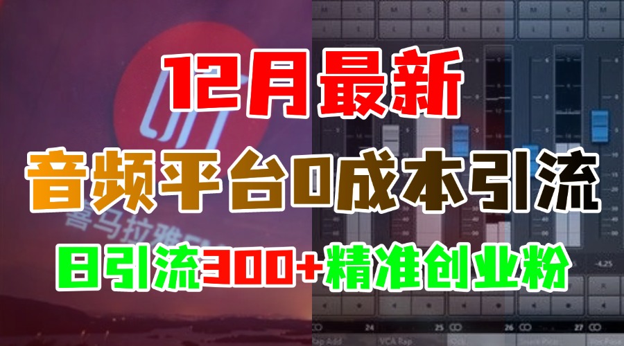 12月最新：音频平台0成本引流，日引300+精准创业粉-悠闲副业网