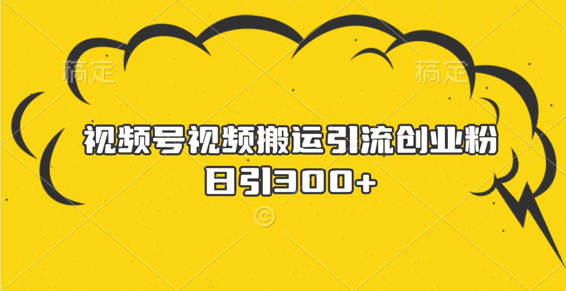 视频号视频搬运引流创业粉，日引300+-悠闲副业网