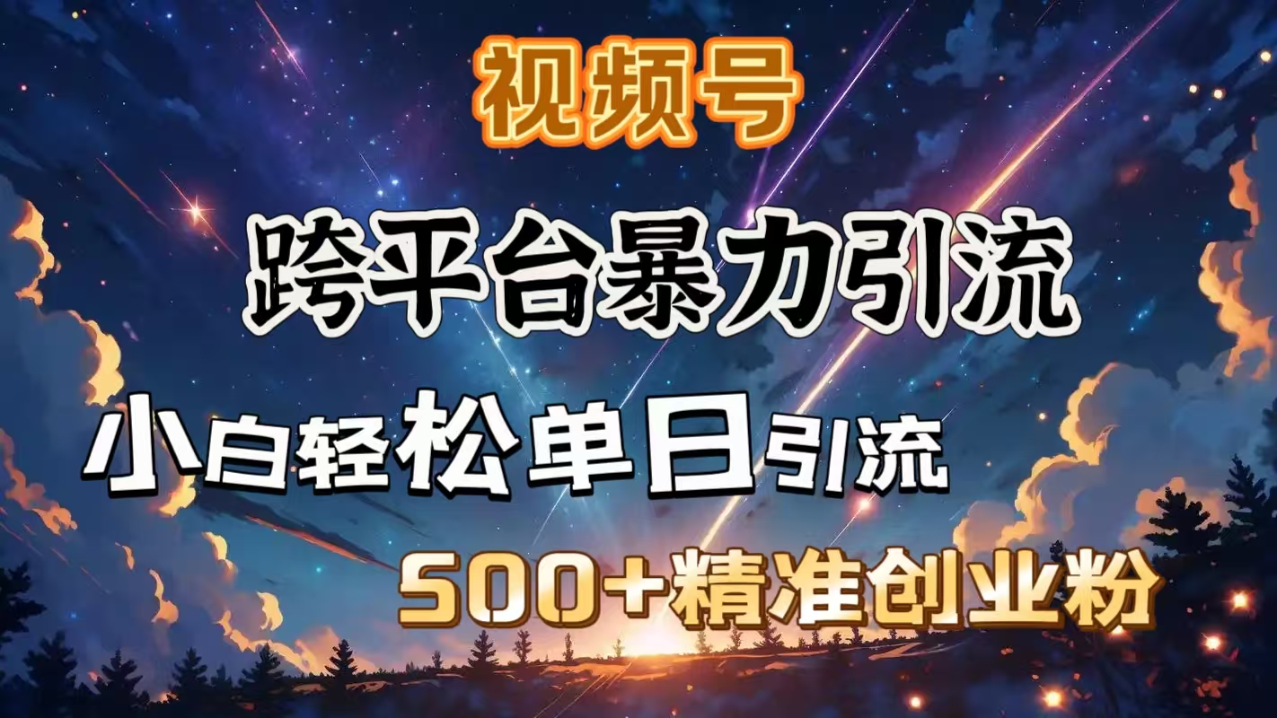 视频号跨平台暴力引流，小白轻松单日引流500＋精准创业粉-悠闲副业网