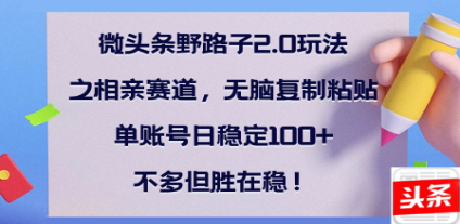 全网首发微头条野路子2.0玩法之相亲赛道，无脑搬砖复制粘贴，单账号日稳定300+保姆级教程-悠闲副业网