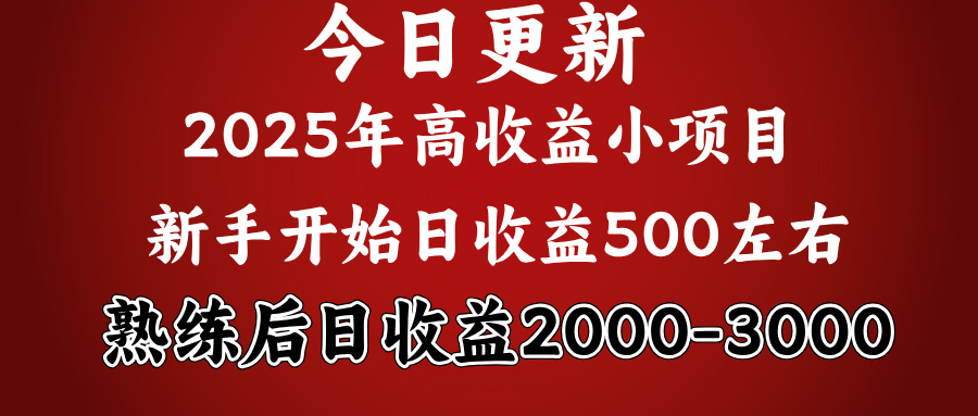 好项目一眼就能看出来，日收益1000，长久可做，2025拼的就是我比你勤奋-悠闲副业网