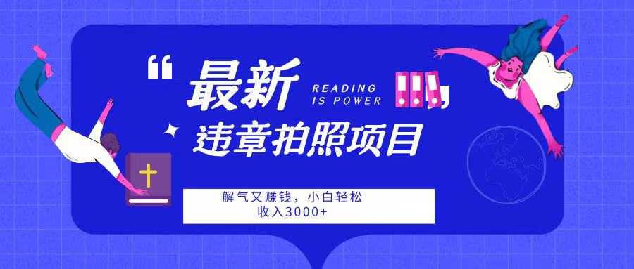 最新违章拍照项目，解气又赚钱，随手一拍，轻松收入3000-悠闲副业网
