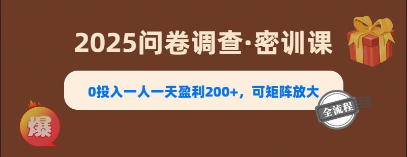 2025《问卷调查》0投入一人一天盈利200+，可矩阵放大-悠闲副业网