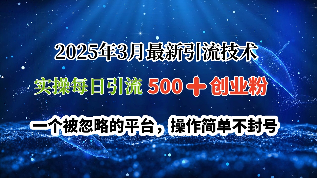 2025年3月最新引流技术，实操每日引流500➕创业粉，一个被忽略的平台，操作简单不封号-悠闲副业网