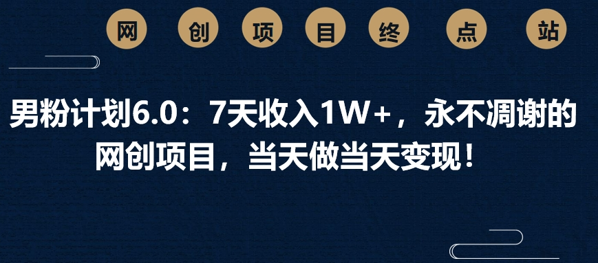 男粉计划6.0：7天收入1W+，永不凋谢的网创项目，当天做当天变现！-悠闲副业网